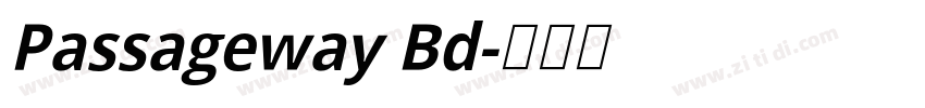 Passageway Bd字体转换
